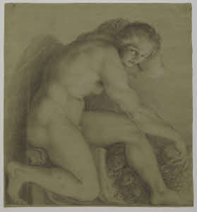 Visualizza l'immagine "Au. C 119"